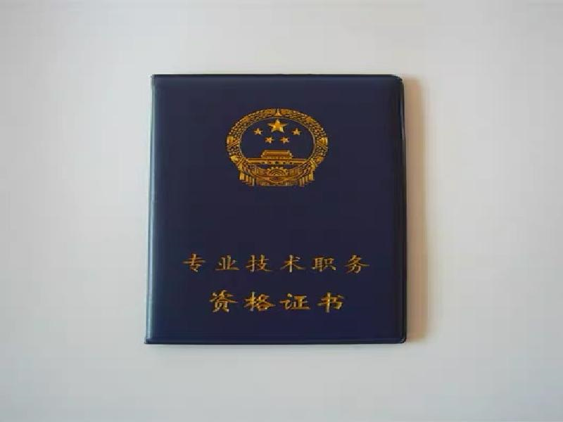 定制证书定制 定制证书定制-红金大气喜庆风